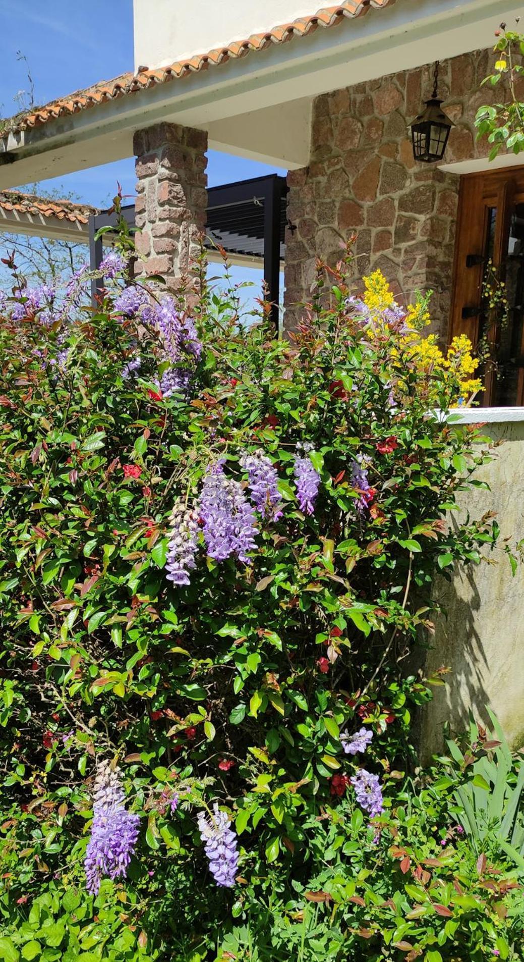 13 Bees Bed & Breakfast Confolens Ngoại thất bức ảnh