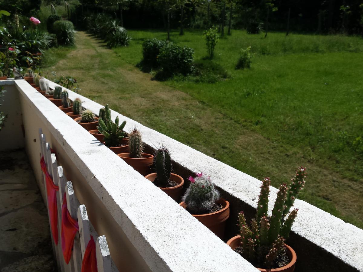 13 Bees Bed & Breakfast Confolens Ngoại thất bức ảnh